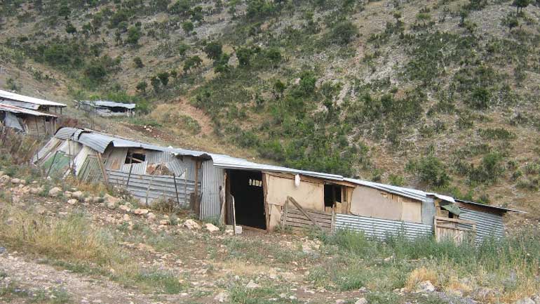 Ηλεία: Νεκρός από σφαίρες εντοπίστηκε κτηνοτρόφος στη Βάλμη